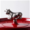 Staub Animal Knob - CowClick to Change Image