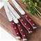 Accent Forged Steak Knife Set - Red HandleClick to Change Image