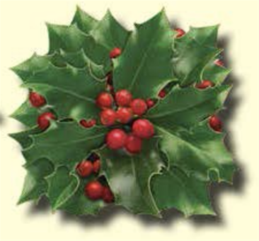 Harvest Cheese Leaves - Holly & Berries 